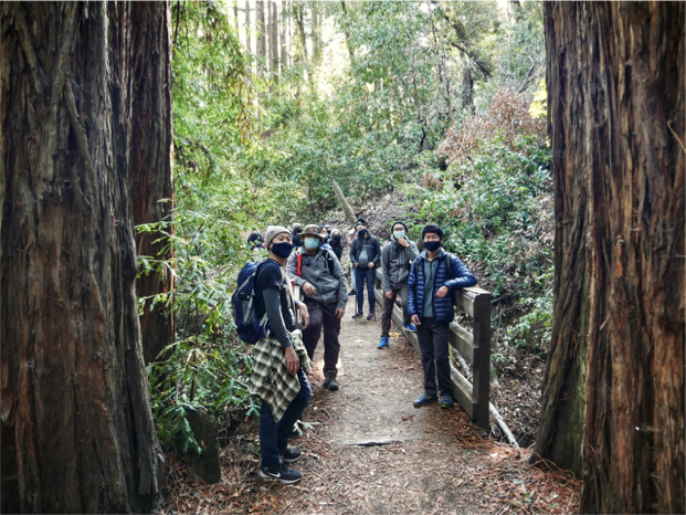young people in face masks standing between giant redwood trees